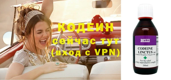 молекула духа Новозыбков