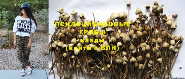 прущий лед Нея