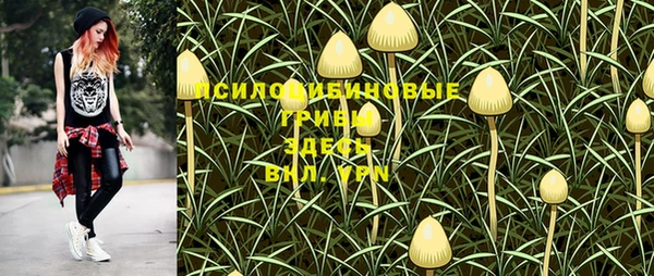 прущий лед Нея