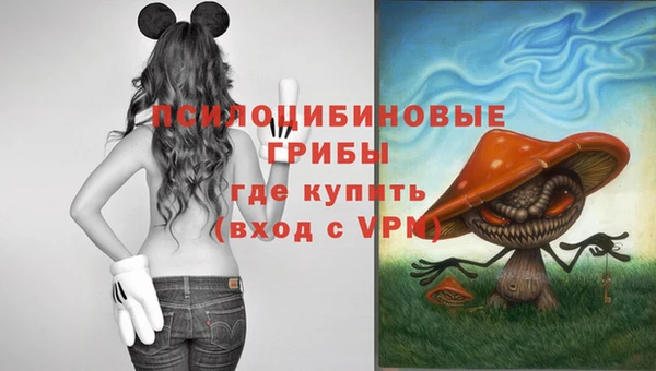 прущий лед Нея