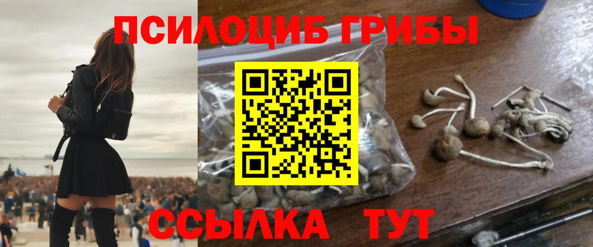 Элиста  Галлюциногенные грибы MAGIC MUSHROOMS  Вход с VPN  Галлюциногенные грибы MAGIC MUSHROOMS 